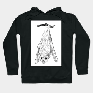 Bat hanging from the tree Hoodie